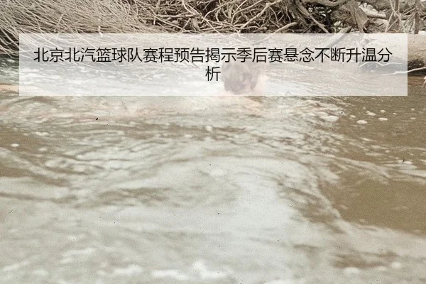 北京北汽篮球队赛程预告揭示季后赛悬念不断升温分析